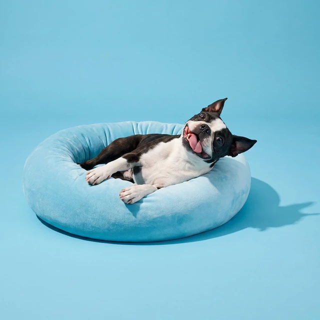 Alt view image 4 of 6 - Vibrant Life Small Squishy Cuddler Pet Bed, Blue, 17in