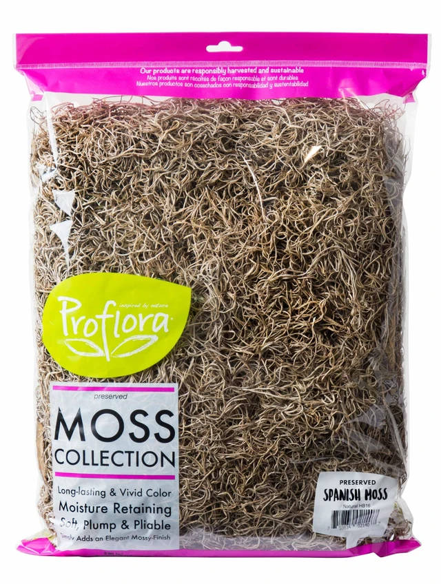 Main image of Proflora Preserved Green Spanish Moss, Natural 530 cu in, Floral Arranging Supplies