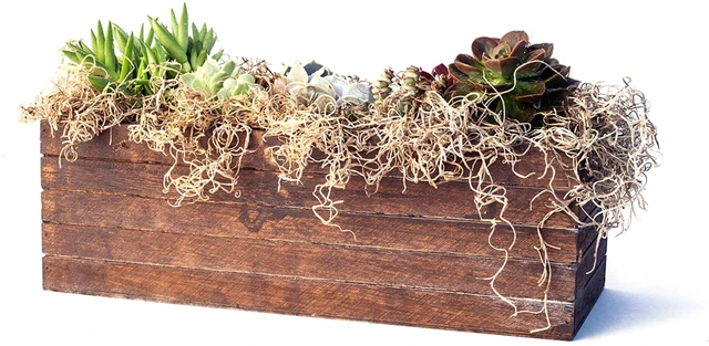 Alt view image 5 of 7 - Proflora Preserved Green Spanish Moss, Natural 530 cu in, Floral Arranging Supplies