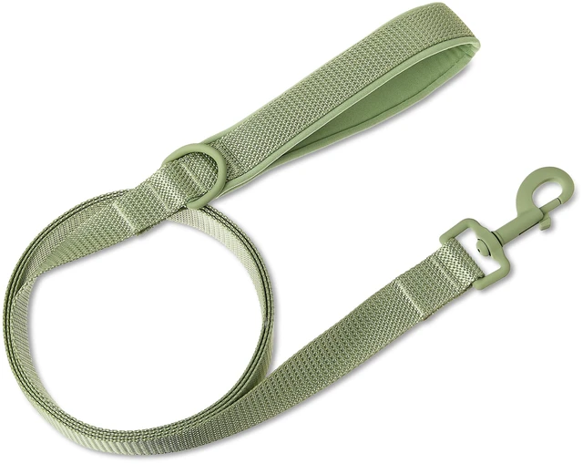 Main image of Vibrant Life Neoprene Cushioned Dog Leash, 6ft, M/L, Sage Green