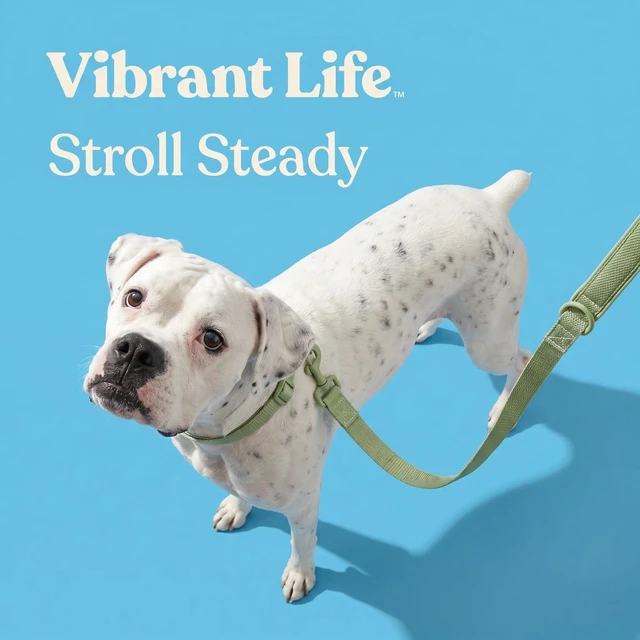 Alt view image 6 of 6 - Vibrant Life Neoprene Cushioned Dog Leash, 6ft, M/L, Sage Green
