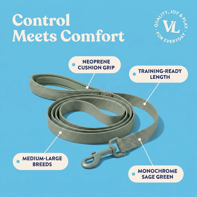Alt view image 2 of 6 - Vibrant Life Neoprene Cushioned Dog Leash, 6ft, M/L, Sage Green