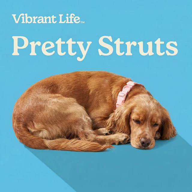 Alt view image 2 of 6 - Vibrant Life Adjustable Neoprene Cushioned Dog Collar, Soft Pink, M
