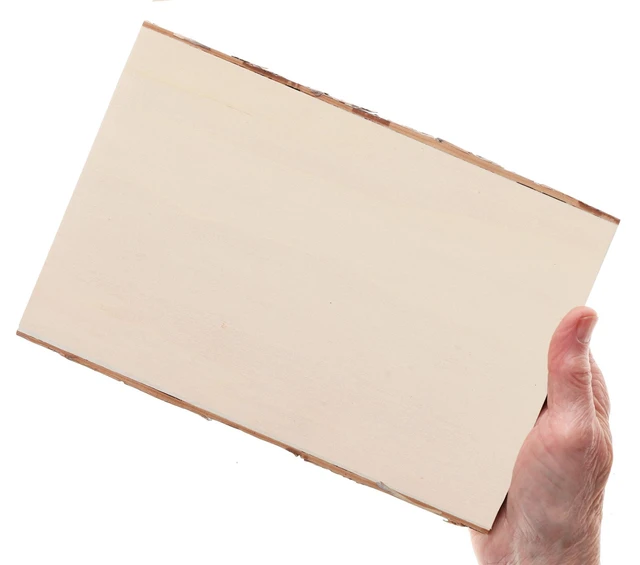 Alt view image 5 of 5 - Hampton Art Basswood Rectangle with Bark, Small (LY)