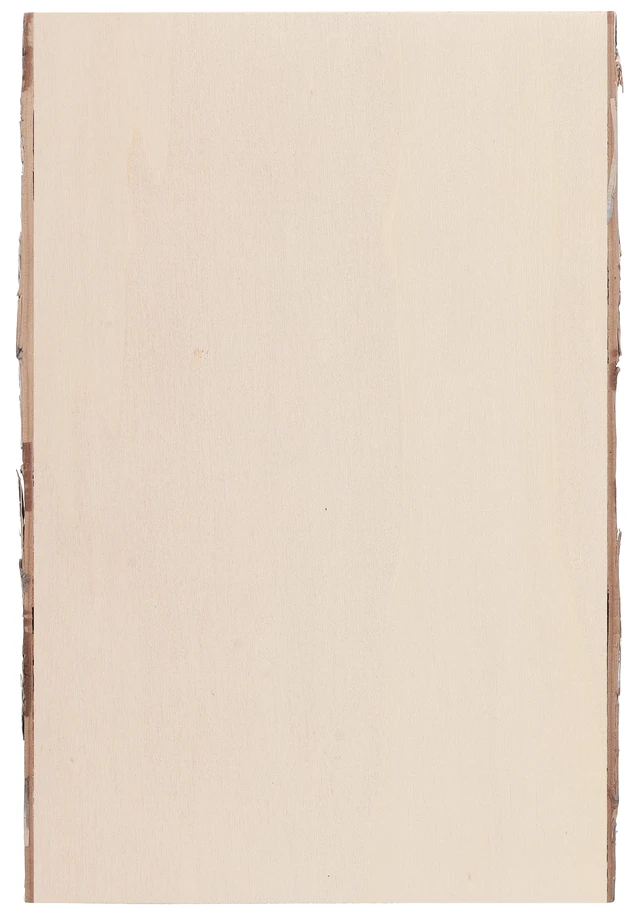 Alt view image 2 of 5 - Hampton Art Basswood Rectangle with Bark, Small (LY)