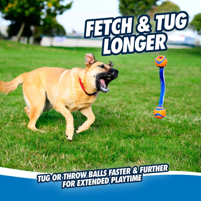 Alt view image 6 of 6 - Chuckit! Ultra Duo Tug Indoor Outdoor Rope Fetch Dog Toy, Small 2", for Puppies Up to 20 lb, Pack of 1