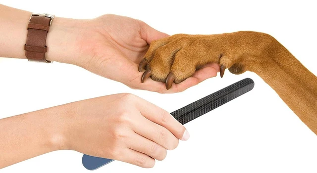 Main image of Pets First Professional Grooming Tough Metal Nail File Grinder for Cats and Dogs