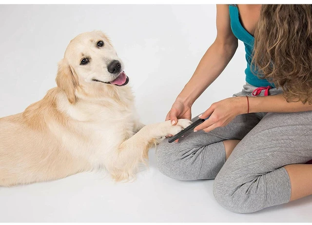 Alt view image 4 of 6 - Pets First Professional Grooming Tough Metal Nail File Grinder for Cats and Dogs
