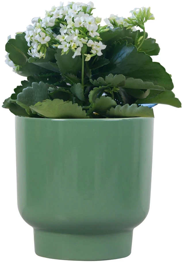 Alt view image 2 of 6 - Mainstays Petra 6-Inch Round Green Ceramic Planter