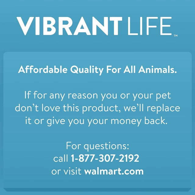 Alt view image 4 of 7 - Vibrant Life Chomp and Tug Buddy Squeaky Bones Dog Chew Toy
