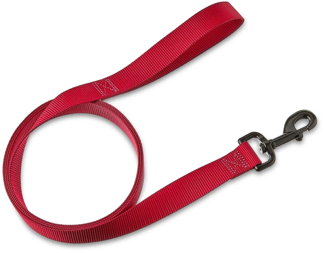 Main image of Vibrant Life 6' Solid Polyester Leash, Red, M/L