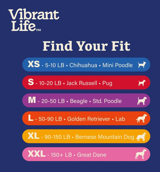 Alt view image 3 of 6 - Vibrant Life 6' Solid Polyester Leash, Red, M/L