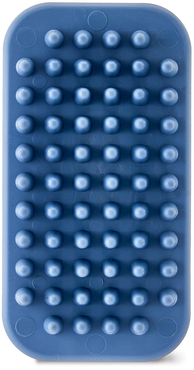 Main image of Vibrant Life Single-Sided TPR Dog Curry Brush, 1 Count