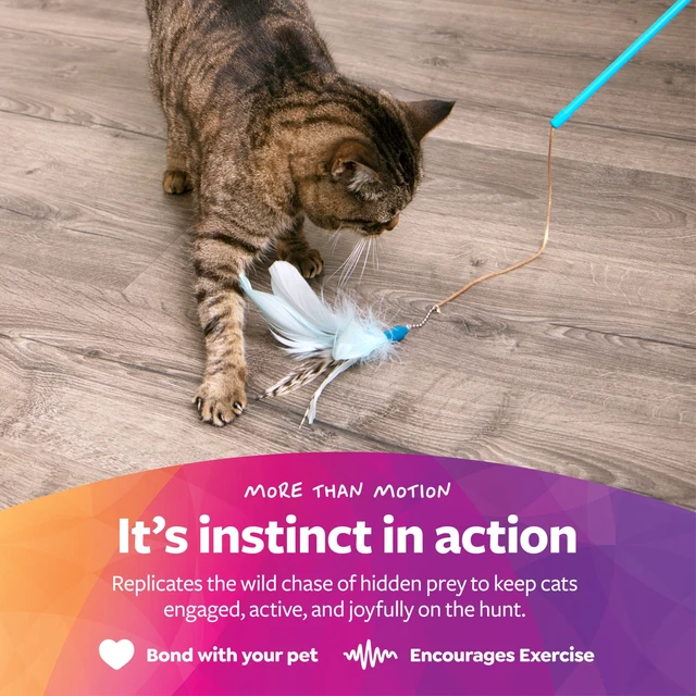 Alt view image 4 of 5 - SmartyKat Frisky Flyer Interactive Cat Toy Extendable Retractable Wand with Feathers