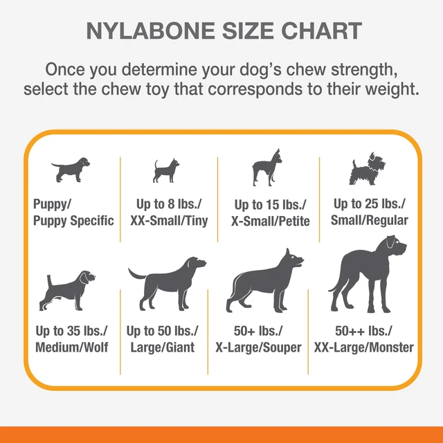 Alt view image 4 of 6 - Nylabone Daily Dental Rubber Braid Bone for Dogs, Up to 35lbs