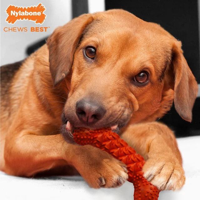 Alt view image 2 of 6 - Nylabone Daily Dental Rubber Braid Bone for Dogs, Up to 35lbs