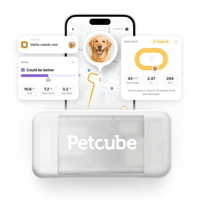 Alt view image 2 of 6 - GPS Tracker for Dogs Real-Time GPS Tracking & Escape Alerts | Virtual fences, activity & wellness monitoring, glow-in-the-dark, water & dust resistant