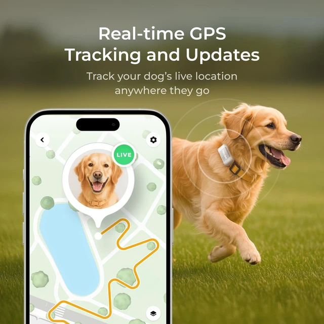 Alt view image 3 of 6 - GPS Tracker for Dogs Real-Time GPS Tracking & Escape Alerts | Virtual fences, activity & wellness monitoring, glow-in-the-dark, water & dust resistant