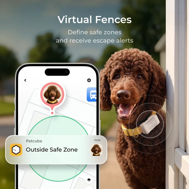 Alt view image 4 of 6 - GPS Tracker for Dogs Real-Time GPS Tracking & Escape Alerts | Virtual fences, activity & wellness monitoring, glow-in-the-dark, water & dust resistant