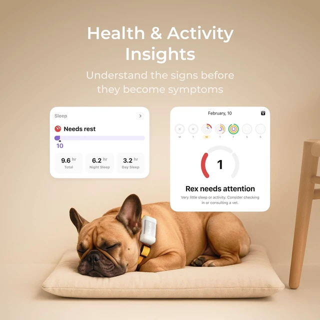 Alt view image 5 of 6 - GPS Tracker for Dogs Real-Time GPS Tracking & Escape Alerts | Virtual fences, activity & wellness monitoring, glow-in-the-dark, water & dust resistant
