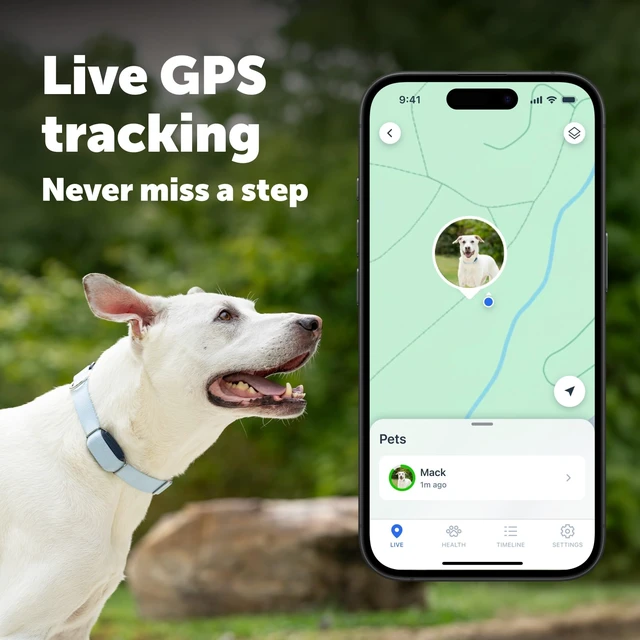 Alt view image 2 of 7 - GPS Dog Tracker, Real-Time Tracking, Subscription Required | Escape Alerts and Notifications Activity Monitoring