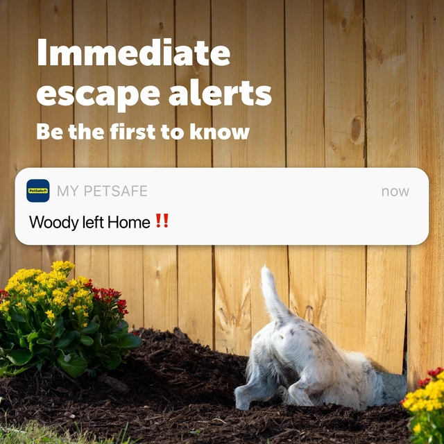 Alt view image 3 of 7 - GPS Dog Tracker, Real-Time Tracking, Subscription Required | Escape Alerts and Notifications Activity Monitoring