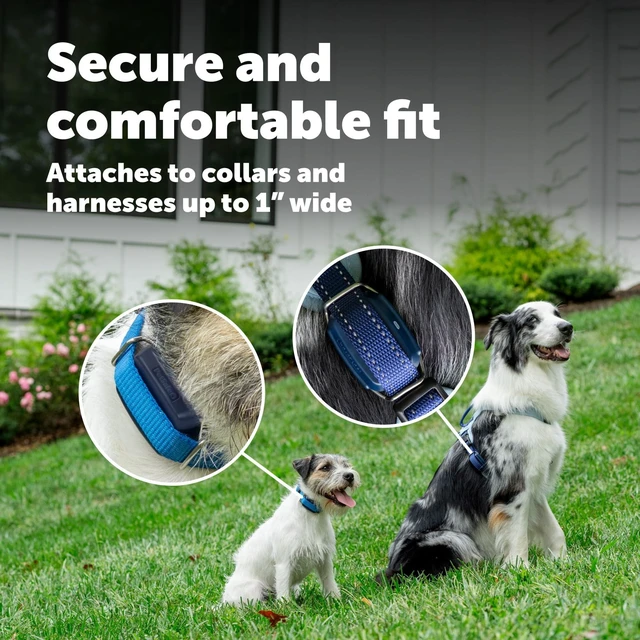 Alt view image 7 of 7 - GPS Dog Tracker, Real-Time Tracking, Subscription Required | Escape Alerts and Notifications Activity Monitoring
