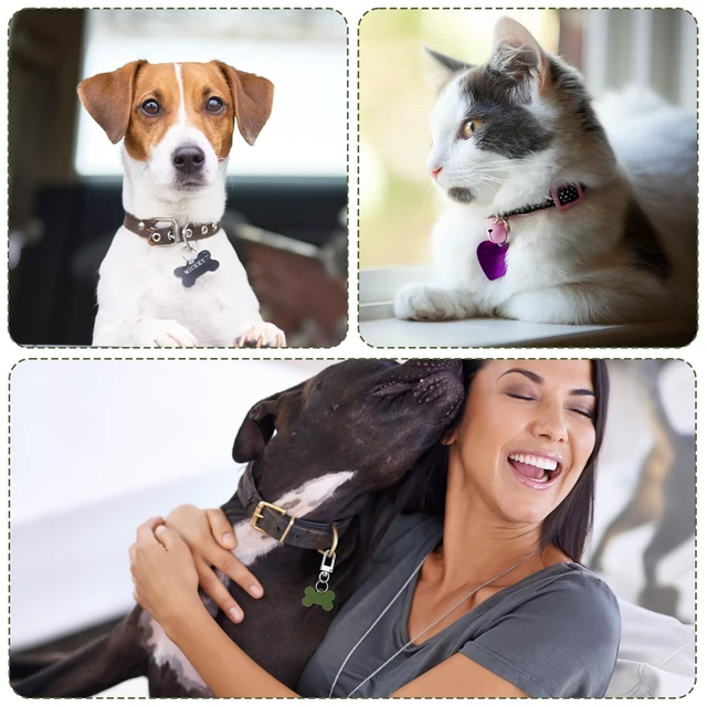 Alt view image 5 of 7 - 25Pcs Quick Clips Cat Dog Collar Clips, Anti Lost Small Carabiner Ring for Pet Tag Charms Id Tags Small Keychain Dog Collar Accessories for Safety