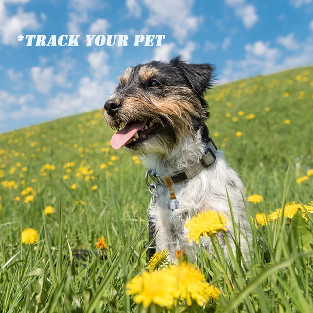 Alt view image 3 of 5 - Dog Collar Copper Bell Pet Tracker Noise Maker/Leather Crafters Country Grazing Cow Bell for Pet Anti-Lost Pendant ID Tags for Pet Training Tracker Christmas New Years Eve(M)(Silver)