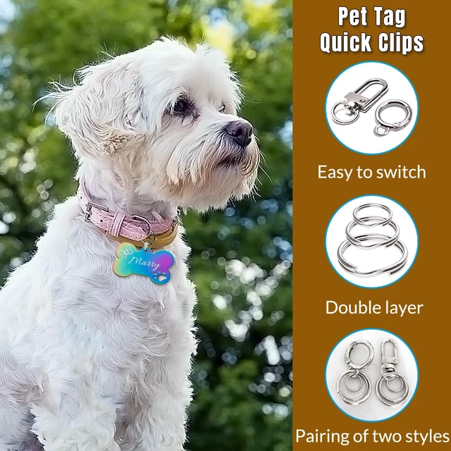 Alt view image 3 of 6 - Dog Tag Clips for Collar,with 15Pcs Replaceable Dog ID Name Tag Ring Clip Dog Tag Attachment Clip Pet tag Quick Clip Clips Rings for Pet Collar Key Ring Clips Accessories 6 Sets (6 Sets)