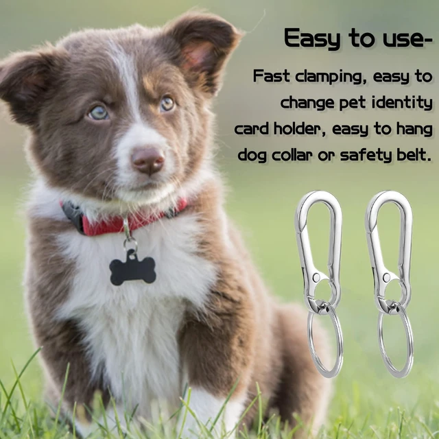 Alt view image 3 of 6 - 2 Pack Dog Tag Clips, Stainless Steel Heavy Duty Quick Clips with Rings, Easy Change Pet ID Tag Holder for Dog Cat Collars and Harnesses