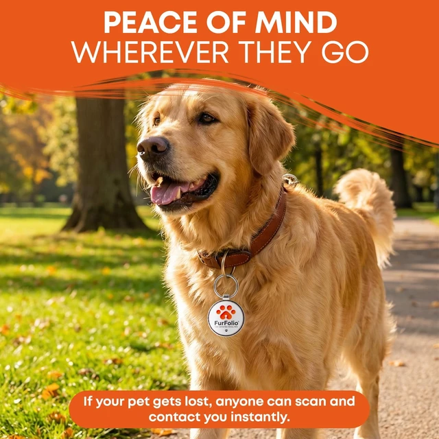Alt view image 7 of 7 - QR Code Dog Tag for Dogs & Cats Smart Pet ID Tag Scan to Contact Owner No Subscription Lost Pet Protection