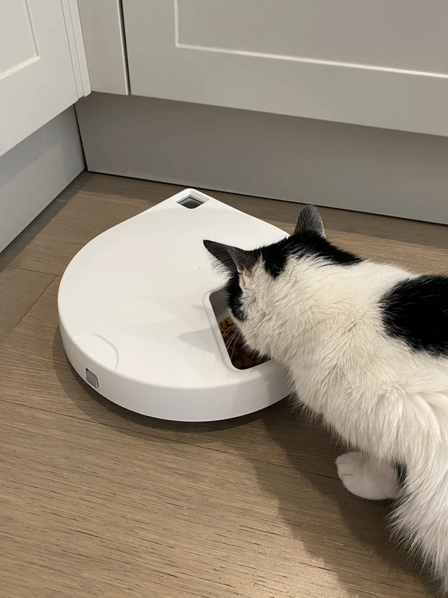 Alt view image 7 of 7 - Replacement Bowl with Stainless Steel Inserts for 5-Meal Feeder | High Quality, Durable, Suitable for Wet and Dry Food, Easy to Clean, Each Bowl is 6.7cm x 27.5cm x 27.5cm, No Sharp Corners