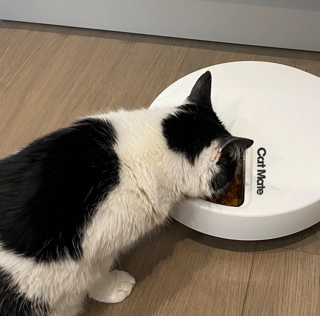 Alt view image 6 of 7 - Replacement Bowl with Stainless Steel Inserts for 5-Meal Feeder | High Quality, Durable, Suitable for Wet and Dry Food, Easy to Clean, Each Bowl is 6.7cm x 27.5cm x 27.5cm, No Sharp Corners
