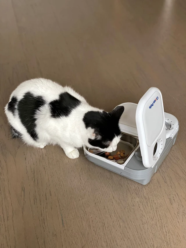 Alt view image 2 of 7 - 2-Meal Automatic Feeder, 400g Per Bowl, Wet & Dry Food, White | Programmable Digital Timer, 2 x 400g Bowls, Includes Ice Packs, For Cats & Small Dogs, No Apps or WiFi, Dishwaser-Safe
