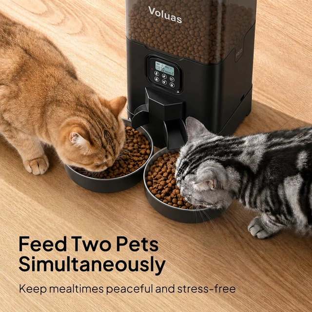 Alt view image 3 of 7 - Automatic Cat Feeder for Two Cats with Dual Stainless Bowls, 6L | Programmable Portion Control, Timed Feeding, Memory Function, Dual Stainless Steel Bowls, 10-Second Voice Recorder