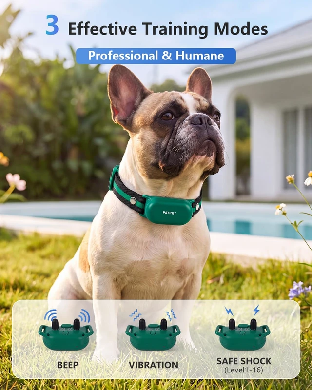 Alt view image 2 of 7 - Dog Shock Collar with Remote Control - 4000FT Safe Training Collar | IPX7 Waterproof 3 Modes(Beep/Vibration/Shock) Shock Collar for Dogs 8-120Lbs, Rechargeable for Small Medium Large Dogs