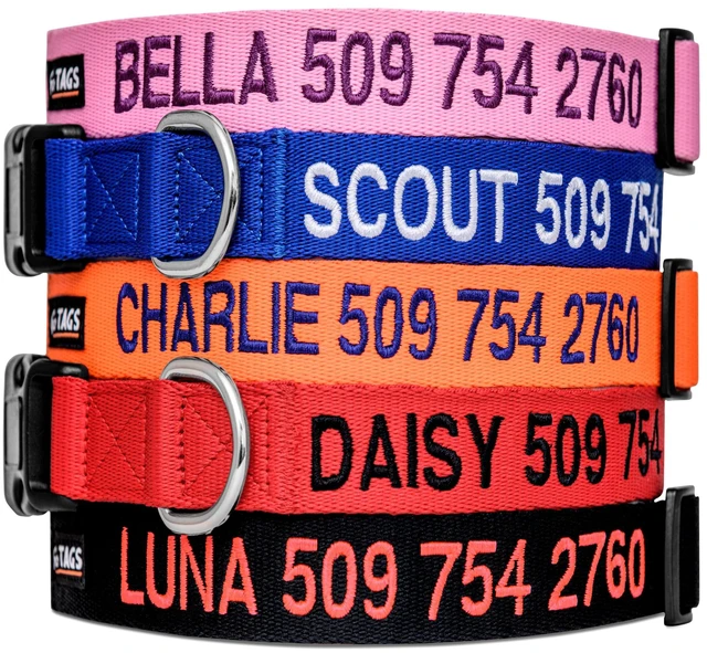 Main image of Personalized Dog Collar, Custom Embroidered with Pet Name and Number | Available in Blue, Black, Pink, Red and Orange, for Boy and Girl Dogs or Cats, Adjustable Sizes, Small, Medium, and Large