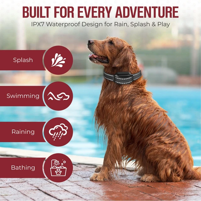 Alt view image 4 of 7 - Dog Training Collar with Remote Beep & Vibration Modes Adjustable Levels, Waterproof Receiver, Rechargeable Training Collar for Small, Medium & Large Dogs Up to 1000-3300FT of Range