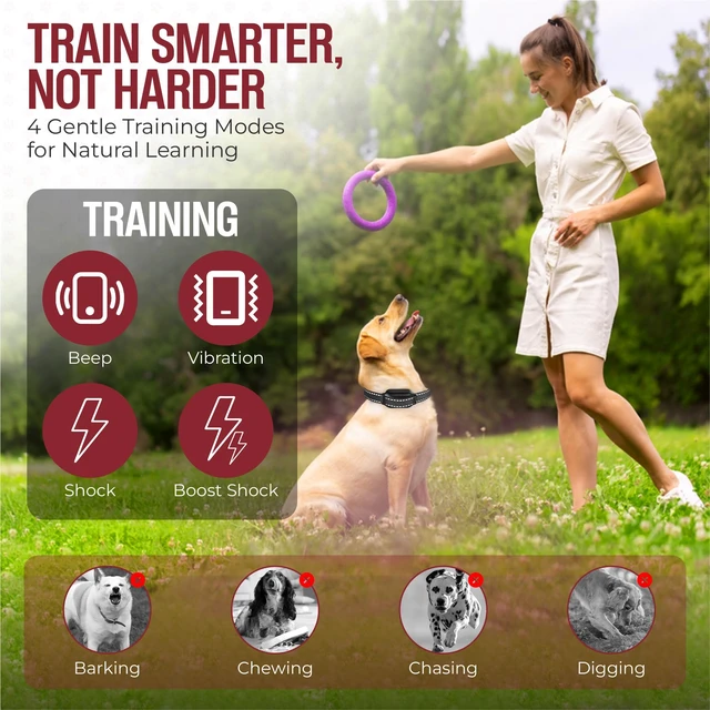 Alt view image 5 of 7 - Dog Training Collar with Remote Beep & Vibration Modes Adjustable Levels, Waterproof Receiver, Rechargeable Training Collar for Small, Medium & Large Dogs Up to 1000-3300FT of Range