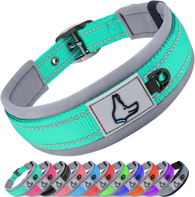 Main image of Reflective Dog Collar for Large Dogs with Wide Padding, Teal | Soft Cushion Reduce Neck Strain, Night Safety Walking, Metal Buckle and Adjustable Eyelets, Separated Dog ID Tag Ring