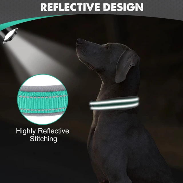 Alt view image 4 of 6 - Reflective Dog Collar for Large Dogs with Wide Padding, Teal | Soft Cushion Reduce Neck Strain, Night Safety Walking, Metal Buckle and Adjustable Eyelets, Separated Dog ID Tag Ring