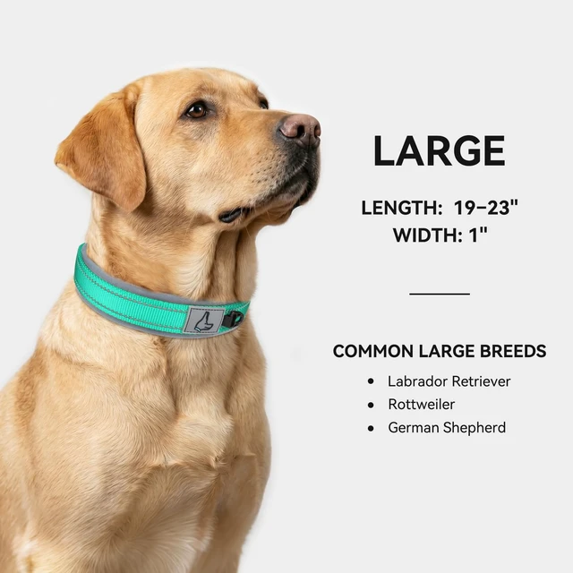 Alt view image 5 of 6 - Reflective Dog Collar for Large Dogs with Wide Padding, Teal | Soft Cushion Reduce Neck Strain, Night Safety Walking, Metal Buckle and Adjustable Eyelets, Separated Dog ID Tag Ring