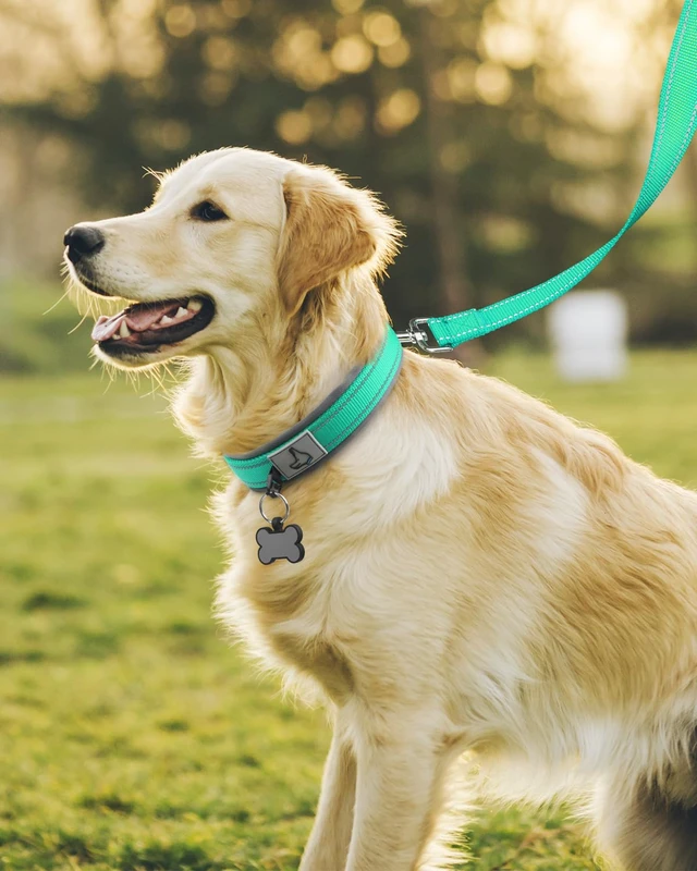 Alt view image 6 of 6 - Reflective Dog Collar for Large Dogs with Wide Padding, Teal | Soft Cushion Reduce Neck Strain, Night Safety Walking, Metal Buckle and Adjustable Eyelets, Separated Dog ID Tag Ring
