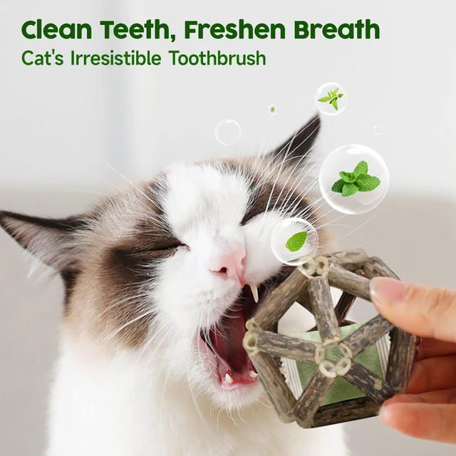 Alt view image 4 of 6 - Catnip Toys, 3Pcs Cat Toys Natural Silvervine Stick Cage Balls & Bell Ball for Indoor Cats, Kitten Cleaning Teeth Molar Matatabi Cat Chew Toy All Breeds