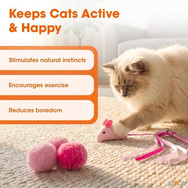 Alt view image 4 of 5 - 15-Piece Cat Toy Variety Pack Interactive Kitten & Cat Toys Set with Multiple Textures Indoor Play Toys for Exercise, Enrichment & Boredom Relief, Pink