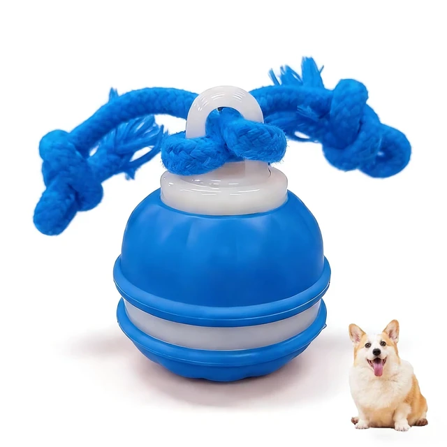 Main image of Zealburst Interactive Dog Toy Ball, 2026 Upgraded Motion Activated Rolling Ball with Squeaky Sounds, 360° Smart Automatic Moving Toy for Bored Cats & Dogs, Indoor & Outdoor Pet Exercise Toy (Blue)