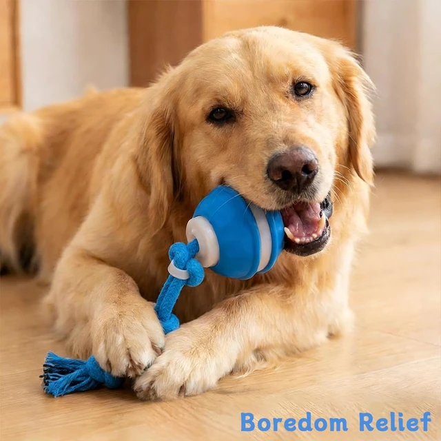 Alt view image 6 of 7 - Zealburst Interactive Dog Toy Ball, 2026 Upgraded Motion Activated Rolling Ball with Squeaky Sounds, 360° Smart Automatic Moving Toy for Bored Cats & Dogs, Indoor & Outdoor Pet Exercise Toy (Blue)