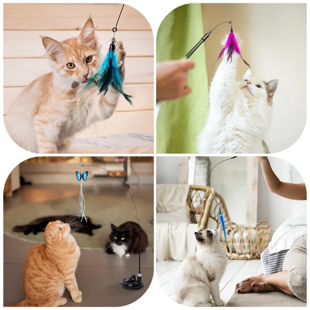 Alt view image 4 of 7 - 3-in-1 Cat Wand Toys,12Pcs Interactive Cat Feather Toys for Indoor Self Play & Exercise,2 Reusable Strong Suction Cups,2 Hanging Spider Toys for Kitten