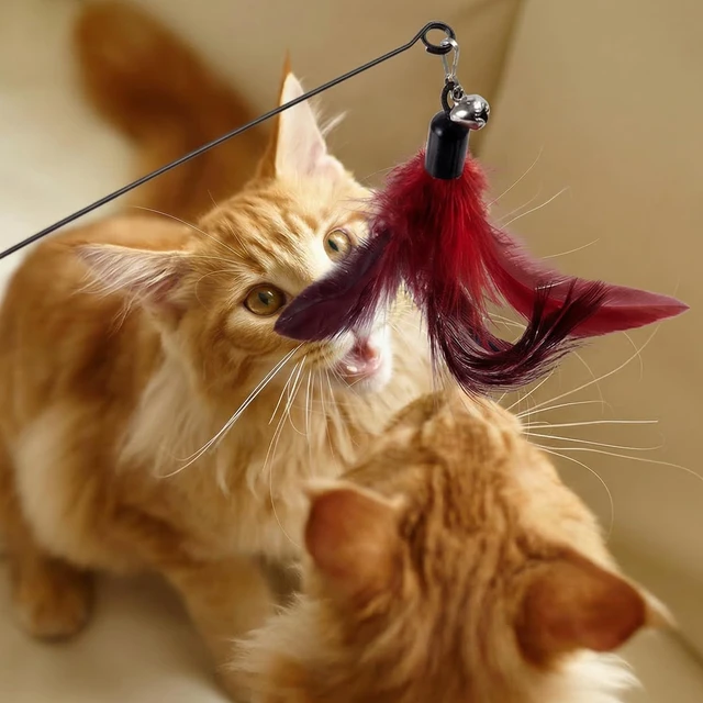 Alt view image 7 of 7 - 3-in-1 Cat Wand Toys,12Pcs Interactive Cat Feather Toys for Indoor Self Play & Exercise,2 Reusable Strong Suction Cups,2 Hanging Spider Toys for Kitten